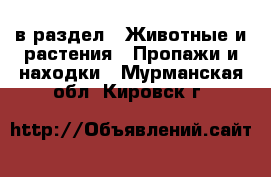 в раздел : Животные и растения » Пропажи и находки . Мурманская обл.,Кировск г.